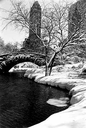 1959年，纽约，暴风雪过后的中央公园 by Alfred Eisenstaedt