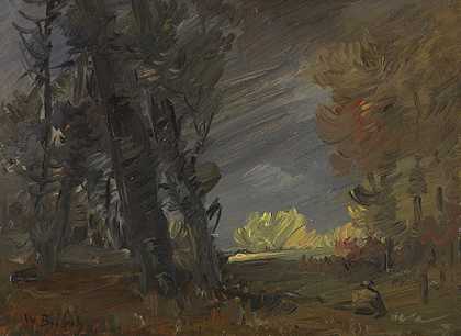 1880/1885年左右，森林边缘有阳光照射的树木群。 by Wilhelm Busch