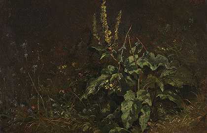 多年生植物（皇家蜡烛和草），1845/1850年左右。 by Carl Spitzweg