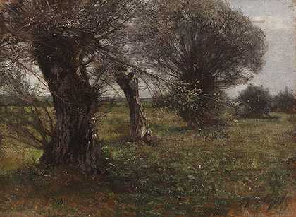 苔藓中的柳树，生长于1885年。 by Heinrich von Zügel