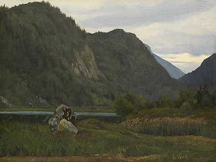 多瑙河风景区，1840年。 by Friedrich Loos