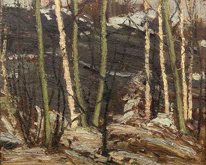杨树角，岩石，太阳，1916年 by Tom Thomson