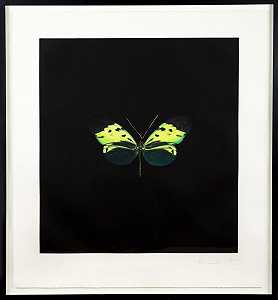 2007年，雅各布斯阶梯上的灵魂们飞向绿色蝴蝶 by Damien Hirst