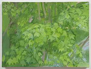 枫树（夏季），2011年 by Sylvia Plimack Mangold