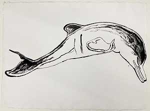 拉普拉塔河海豚，1986年 by Andy Warhol