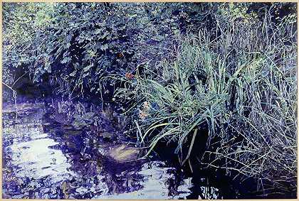 牛蛙溪，2000年 by William Nichols