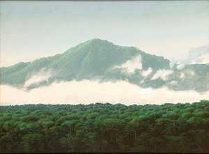雾的上升，1990年 by Tomás Sánchez
