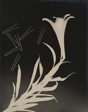《无题》（莉莉和发夹），1938年 by György Kepes
