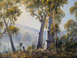 Summer Hill Gums，2020年 by Ted Lewis