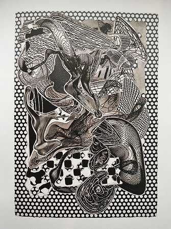 里亚拉罗（黑白），1995年 by Frank Stella