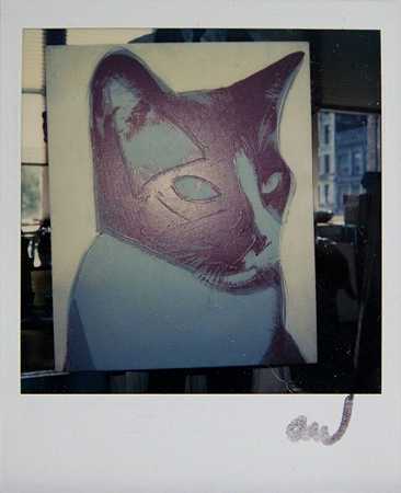 安迪·沃霍尔，工厂的猫画细节，宝丽来照片，1976年，1976年 by Andy Warhol