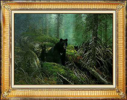 1991年《森林黑熊》 by Michael Coleman