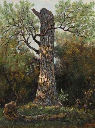 破橡树，德克萨斯州沃思堡，2015年 by Jerry Malzahn