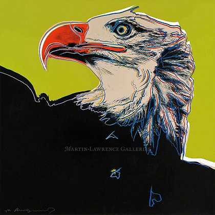 秃鹰，1983年（#296，濒危物种），1983年 by Andy Warhol
