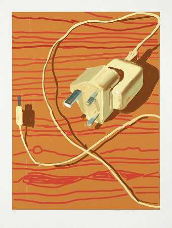 Plug，2011年 by David Hockney