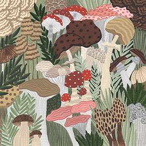 蘑菇花园，2021 by Sara Boccaccini Meadows
