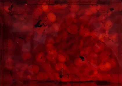 红色婴儿（2021） by David Černý