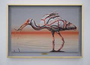 Marden Ibis（Eudocimus attendant 2）（2021年） by Clive Smith