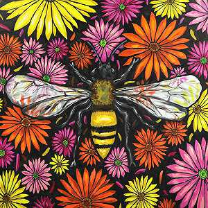 非洲菊上的蜜蜂（2021年） by James Meagher