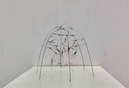 《小圆顶》（2012） by Christiane Löhr