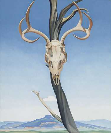 鹿的头骨与佩德纳尔（1936年） by Georgia O’Keeffe