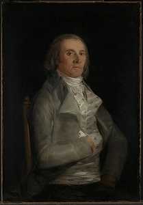 唐·安德烈斯·德尔·佩拉尔（1798年以前） by Francisco de Goya