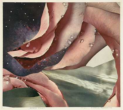 星体幻象（1978） by Patricia Tavenner