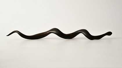 ⿊蛇 黑蛇（2021） by Guanshuai Mao