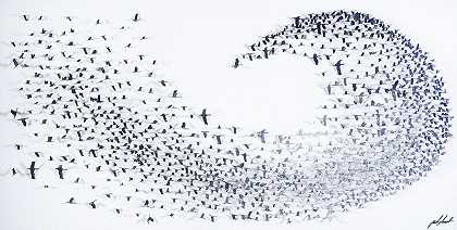 波浪-黑白鸟的白色阴影（N.A.） by Joel Amit