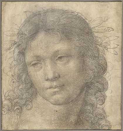 他是一个戴着桂冠的小男孩的头（1500-1505年） by Lorenzo di Credi