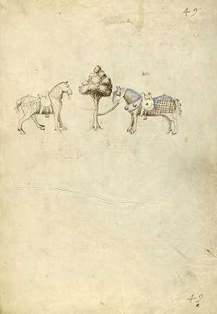 两匹马（1410） by Fiore Furlan dei Liberi da Premariacco