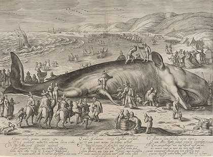 搁浅鲸（1598） by Hendrik Goltzius