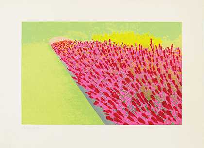 隐私地块：花园（1970） by Ivor Abrahams