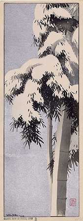 日本竹子上的晨雪（1928） by Lilian May Miller