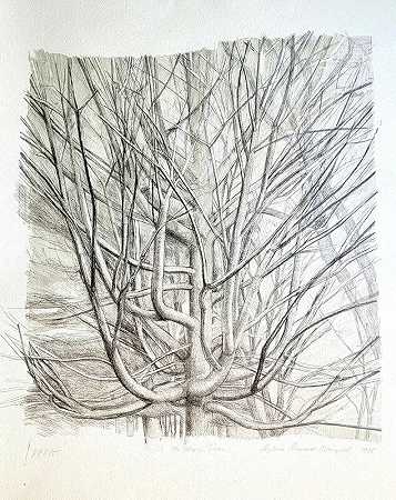 枫树（1998） by Sylvia Plimack Mangold