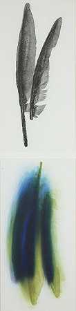 大鸟系列（1997）中的蓝色和黄色金刚鹦鹉 by Sandy Gellis