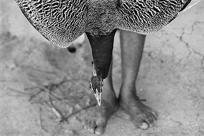 带着驯养孔雀的男人（印度巴斯塔普尔查村，2002年） by Manoj Kumar Jain