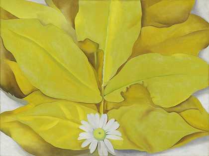 黄色山胡桃树叶和雏菊（1928年） by Georgia O’Keeffe