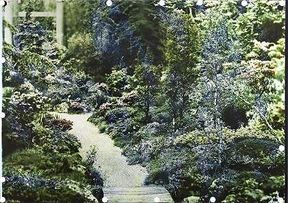 布洛涅日本花园1911年（2019年） by duo d;artistes Baptiste Rabichon & Fabrice Laroche
