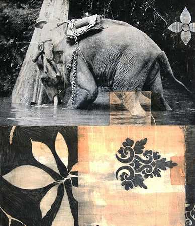 大象（约2020年） by Tom Judd