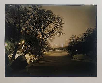 中央公园和纽约市被雪覆盖（2021年） by Nicolas Auvray