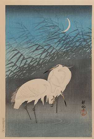 芦苇中的苍鹭（1926） by Ohara Koson