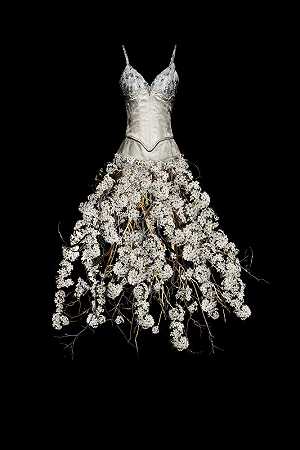 无标题（白色花朵连衣裙）（2010） by Todd Murphy