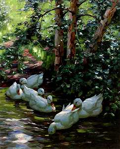 水中六只鸭子（20世纪早期，） by Alexander Max Koester