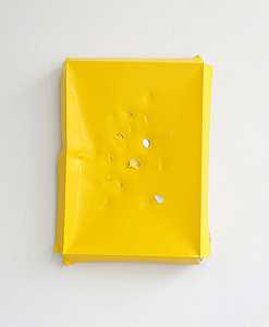 铝单色II（黄色）（2020年） by Angela de la Cruz