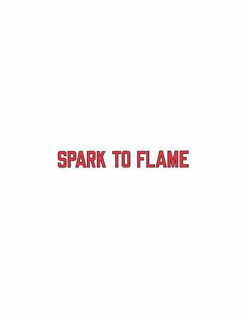 Spark to Flame（2019） by Lawrence Weiner