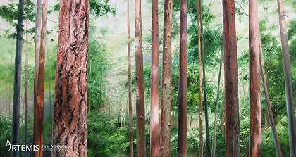 BC森林#5（2013） by Erika Toliusis