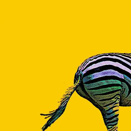 Zebra Going（2021） by Janet Milhomme
