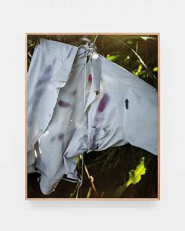 白色衬衫与蠕虫（2020） by Ramiro Chaves