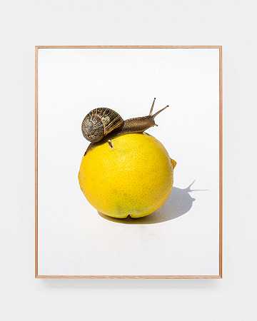 蜗牛和柠檬（2020） by Ramiro Chaves